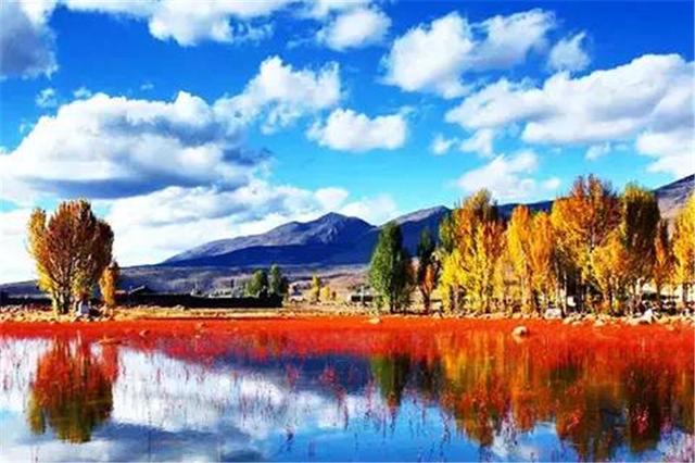 雙凱智能：說走就走旅行？有TA更輕松